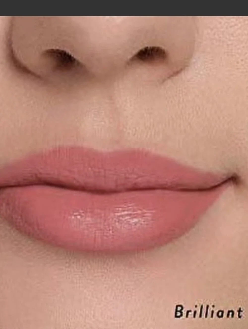 BRILLIANT Laura Geller DISCONTINUED Smart Pout Lipstick NWT